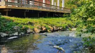Brasserie Au Baron