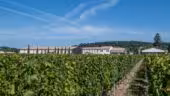 Château Fleur de Lisse - Vignobles Jade