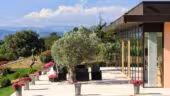 Château Vaudois