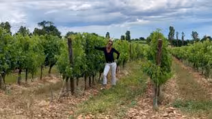 Domaine DeCalage