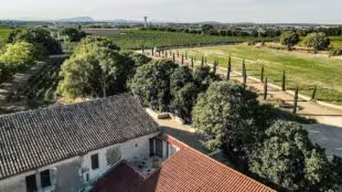 Domaine DeCalage