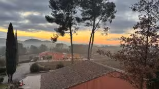 Domaine Rabiega