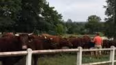 La ferme de Fontenille