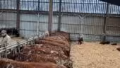 La ferme de Fontenille