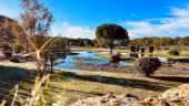 Domaine Amourella