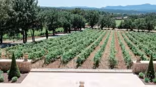 Domaine de la Galinière