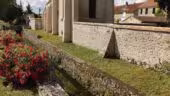 Ferme de la Faisanderie