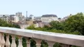 The View