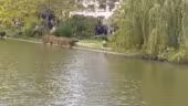Châlet des Îles Daumesnil