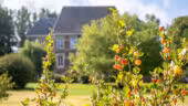 Le Petit Château de Conteville - Le parc
