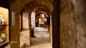 Musée du Vin
