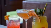 CDF Base Camp Lodge-Negroni -BSM-ETE 2023 ©Infosnews-36