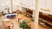 Le grand salon (3), Morning Trévise