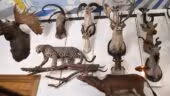 Musée de la Chasse et de la Nature