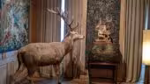 Musée de la Chasse et de la Nature