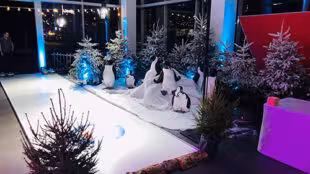 Piste de curling