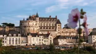 Château Royal d'Amboise