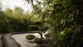 Jardin Zen