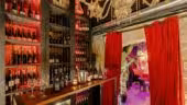 3- Cactus - Petit Salon