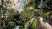 Barbican
