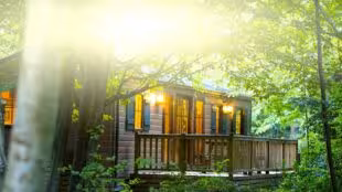 Disney Davy Crockett Ranch