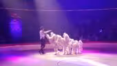 Cirque d'Hiver Bouglione