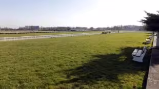 Hippodrome Saint Cloud