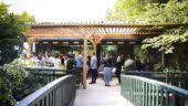 Palais d'Hiver-terrasse
