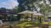 La Terrasse du Jardin-set up guiguette