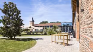 Mas Tolosa