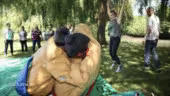 Animation Sumo