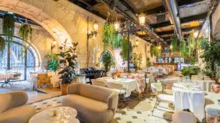 Solum Paris