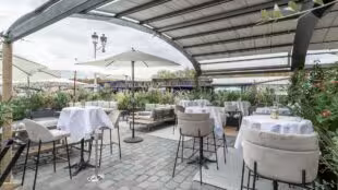 Solum Paris