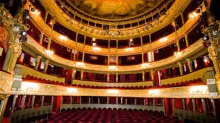 Théâtre du Gymnase Marie Bell - Théâtre du Gymnase Marie Bell
