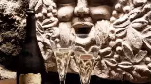 Musée du Vin