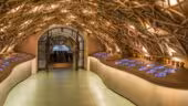 Les Caves du Louvre