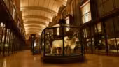 Grande Galerie de l'Évolution