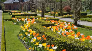 Jardins de Bagatelle