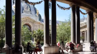 Café le Jardin du Petit Palais - Café le Jardin du Petit Palais