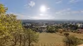 Domaine Lyon Saint Joseph***