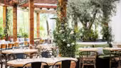 Auteuil Brasserie