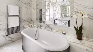 Hôtel Plaza Athénée Paris ***** - Hôtel Plaza Athénée Paris *****