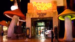 Rainforrest Café