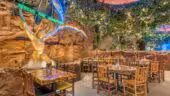 Rainforrest Café