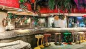 Rainforrest Café