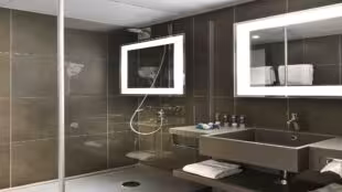 Hôtel Novotel Marne-la-Vallée Collégien ****