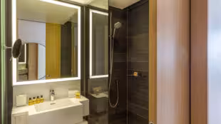 Hôtel Hyatt Regency Paris Étoile