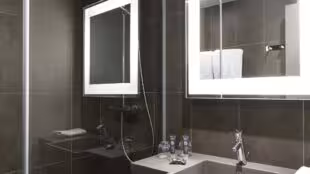 Novotel Château de Versailles ****