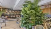 Brasserie des Artistes