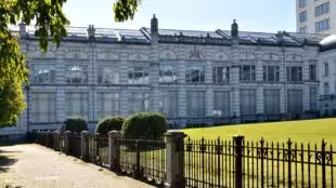 Institut Royal des sciences naturelles